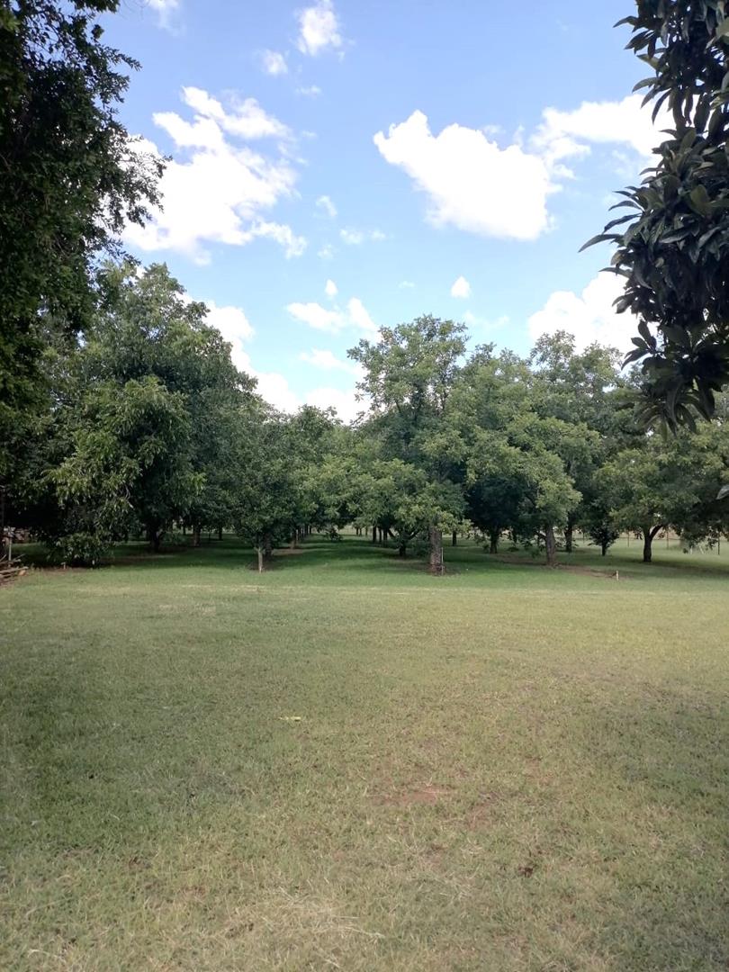 6 Bedroom Property for Sale in Mamogaleskraal North West